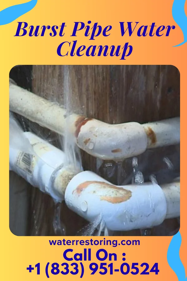 Burst Pipe Water Cleanup in Southgate, KY